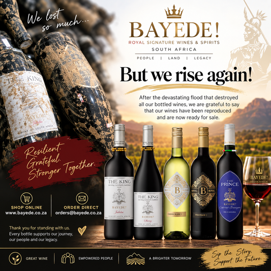 From the Flood to a New Beginning: The Bayede! Story Continues_2026